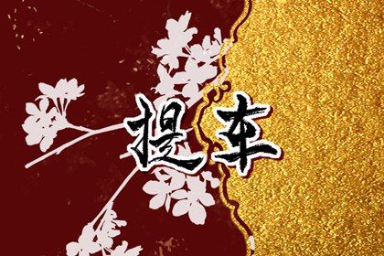 2025年02月09日提车黄道吉日 今日提车买车好不好